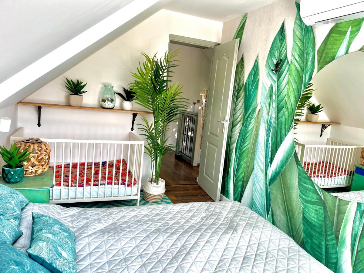 Bohemian Eco Lodge Kisapati エクステリア 写真